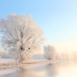 Meet your Posher, Aiesha